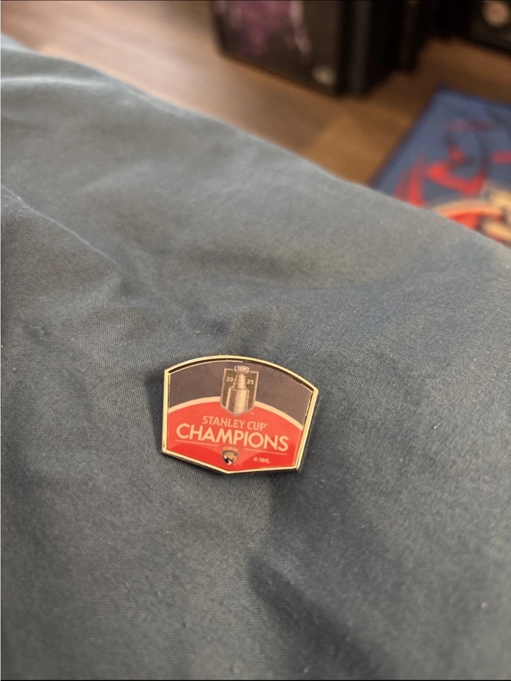 Florida Panthers 2025 Stanley Cup Champions Lapel Pin Ships Fast